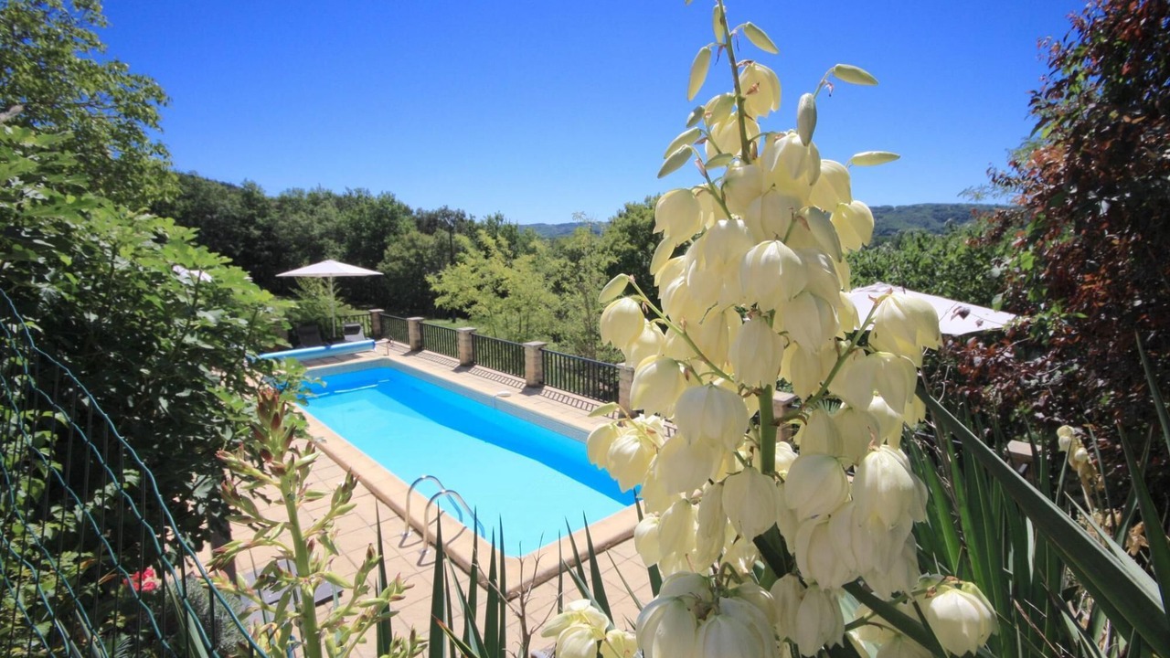 Photo of Outdoor in Castels et Bezenac
