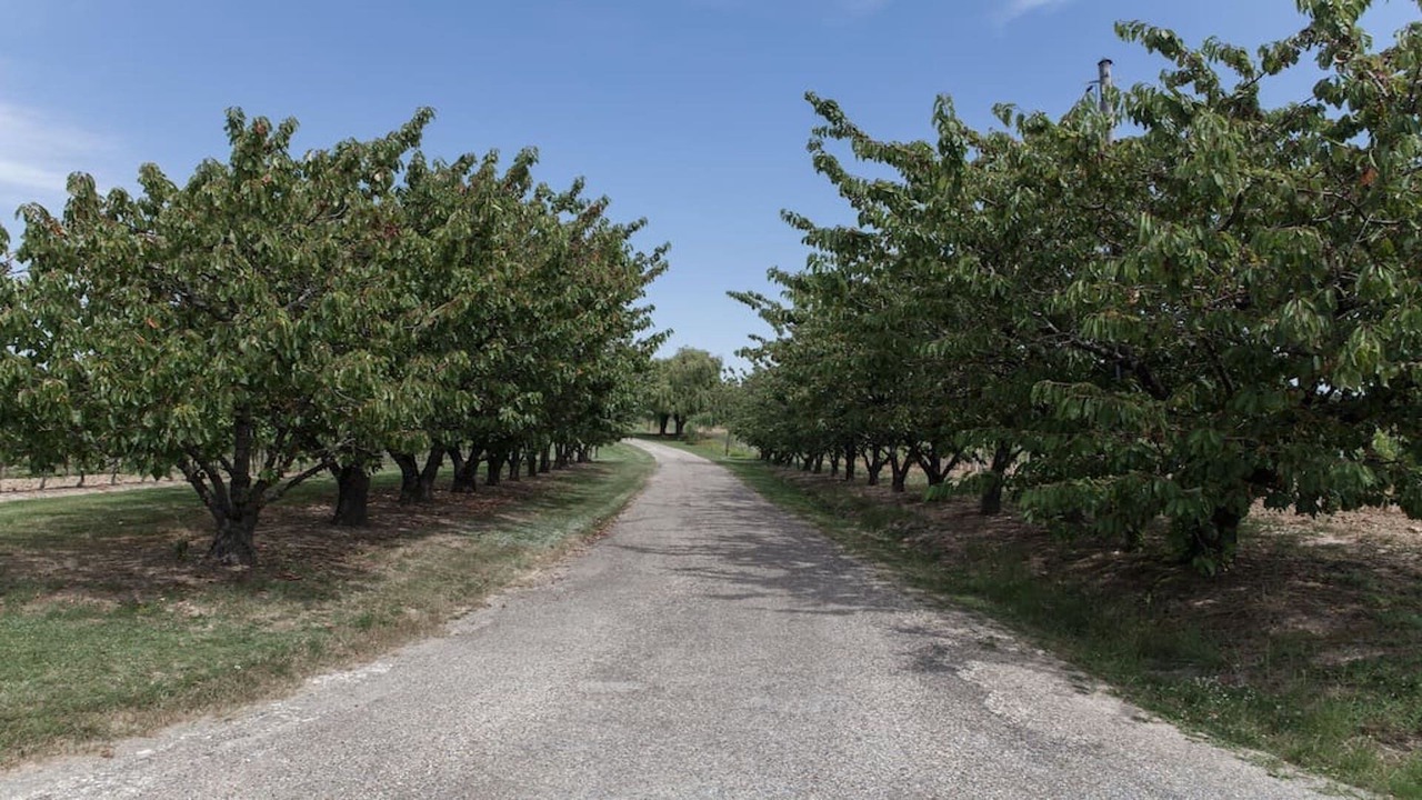 Photo of Outdoor in Blasimon
