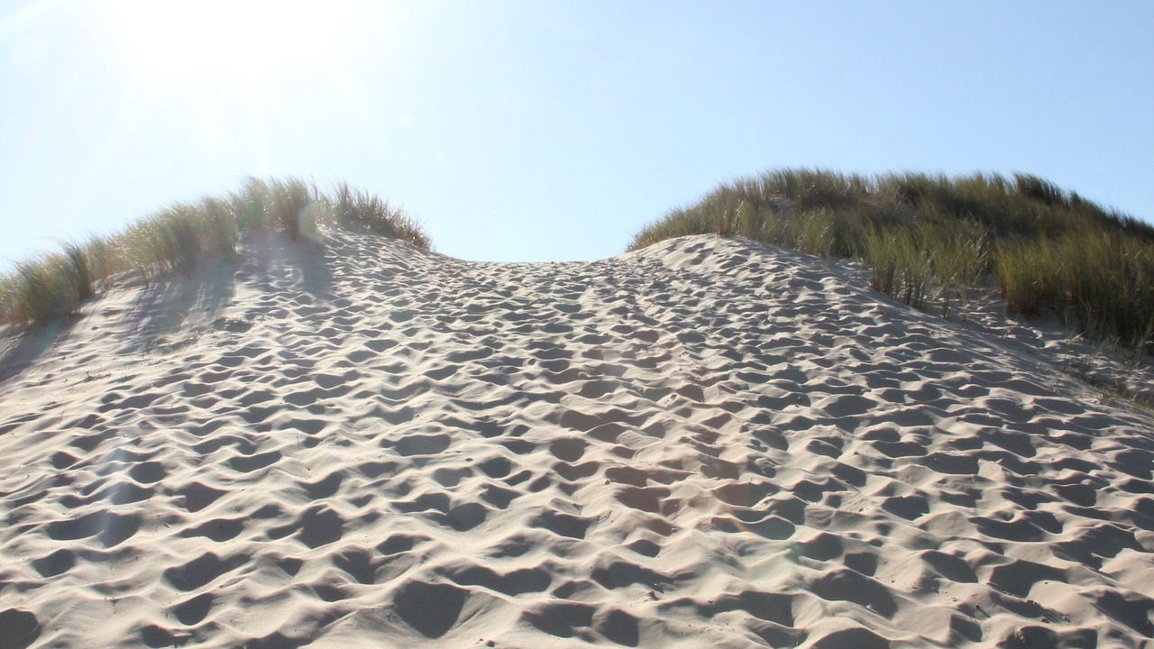 Photo of Others in Lege-Cap-Ferret
