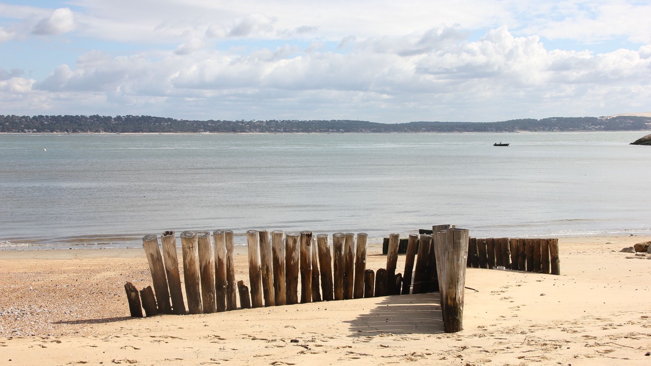 Photo of Others in Lege-Cap-Ferret