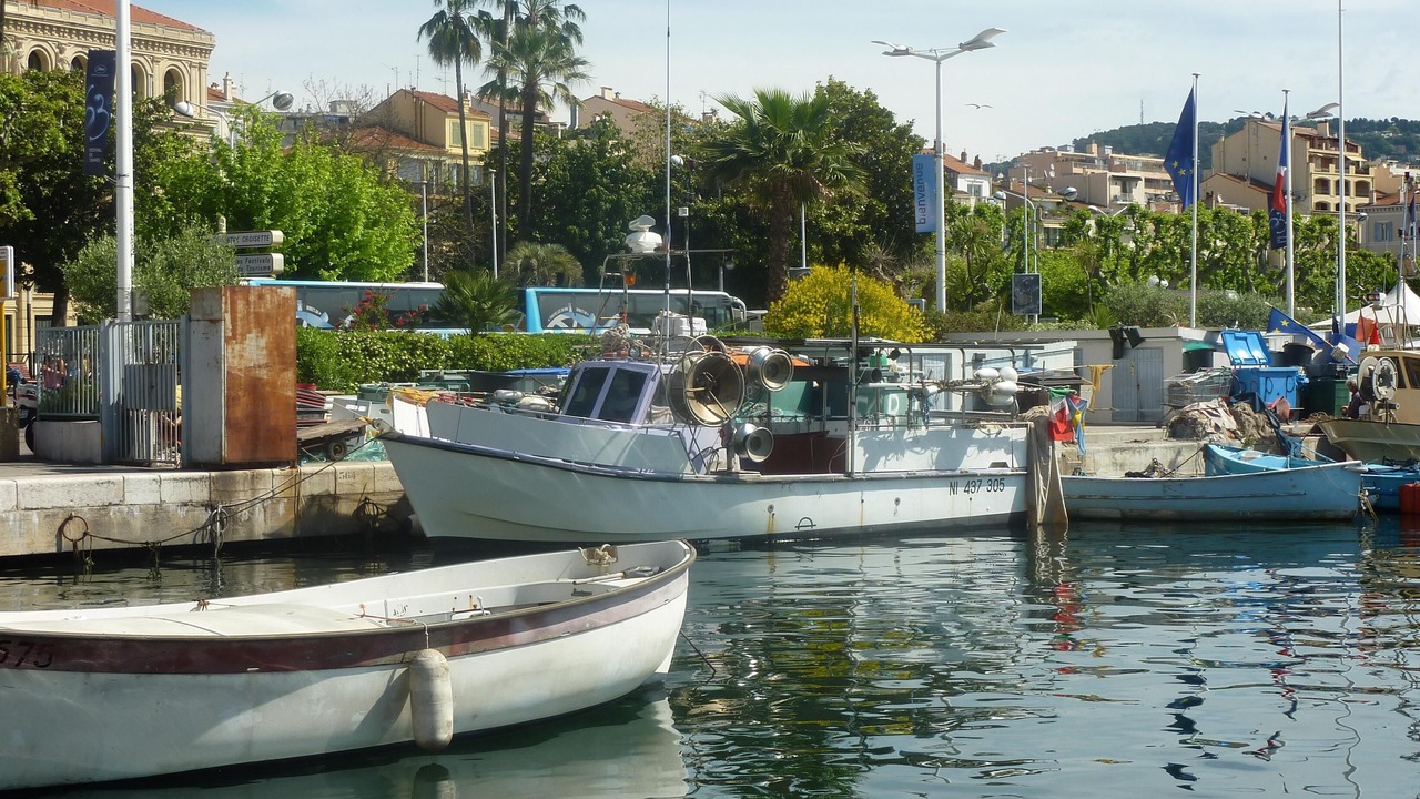 Photo of Others in Cannes City Centre
