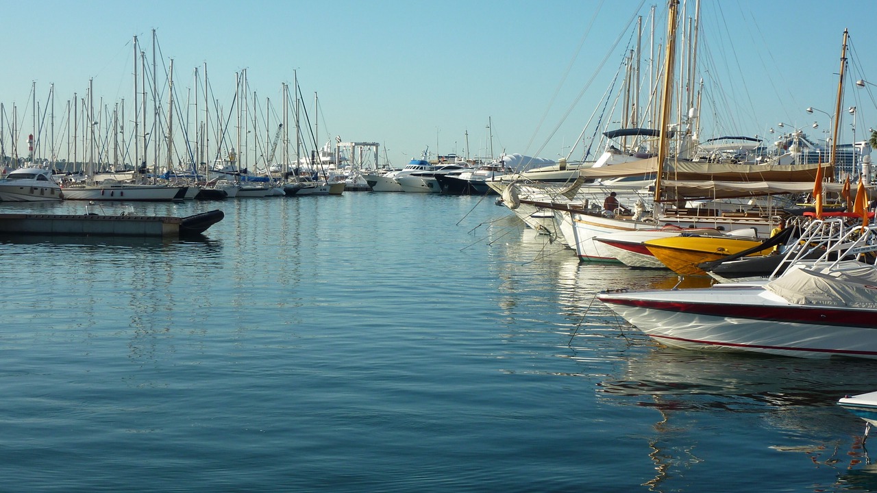 Photo of Others in Cannes City Centre