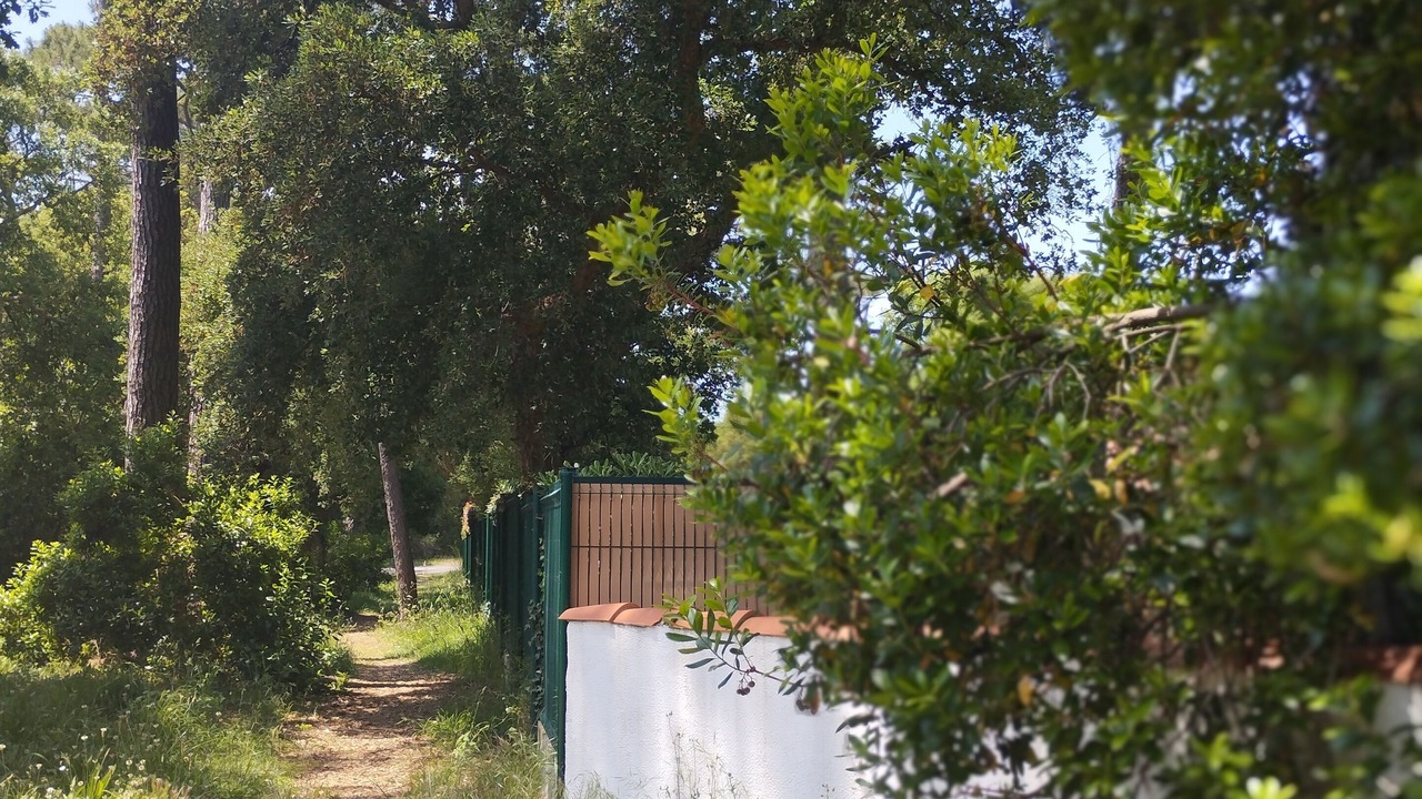 Photo of Outdoor in Labenne-Ocean