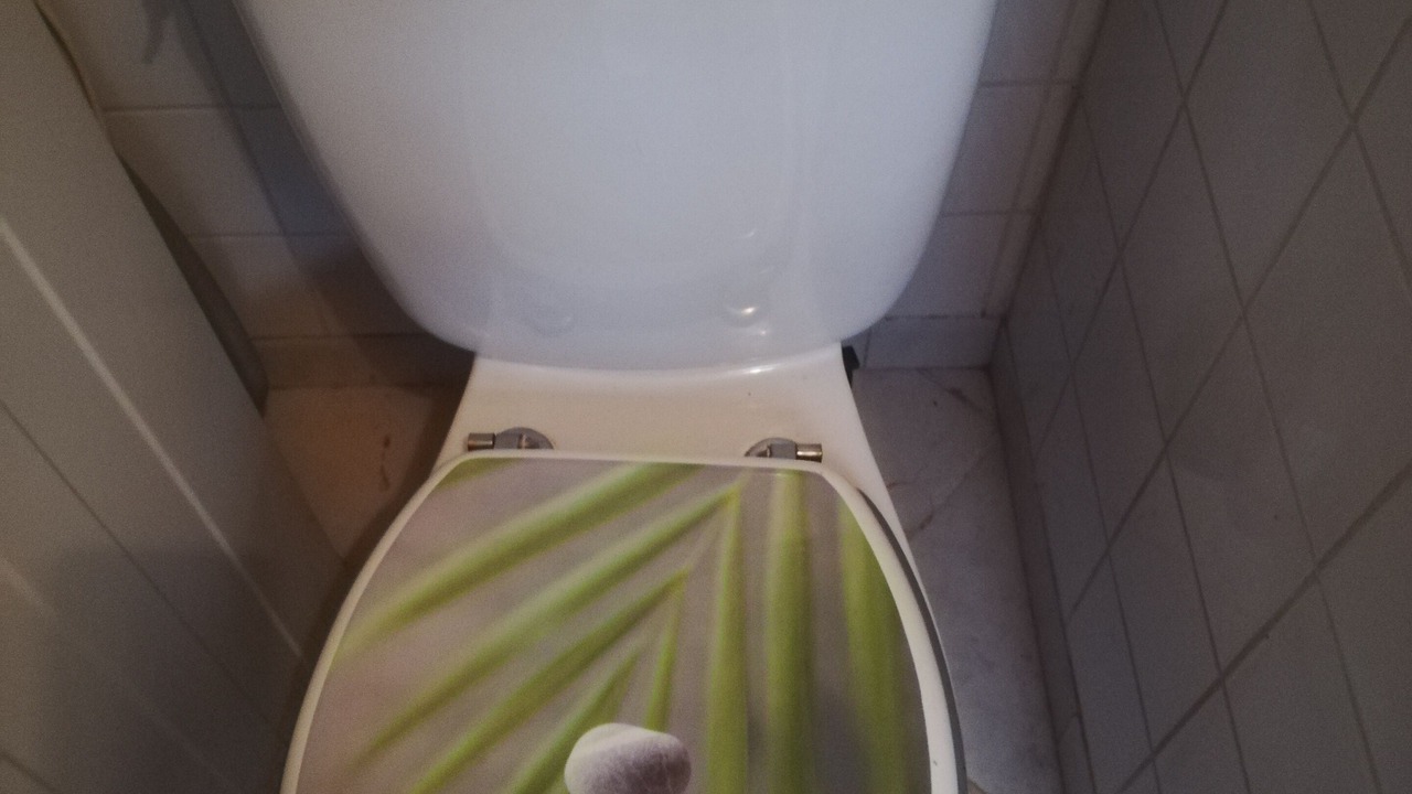 Photo of Bathroom in Labenne-Ocean