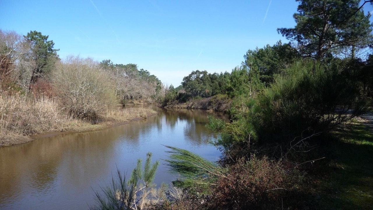Photo of Outdoor in Labenne-Ocean