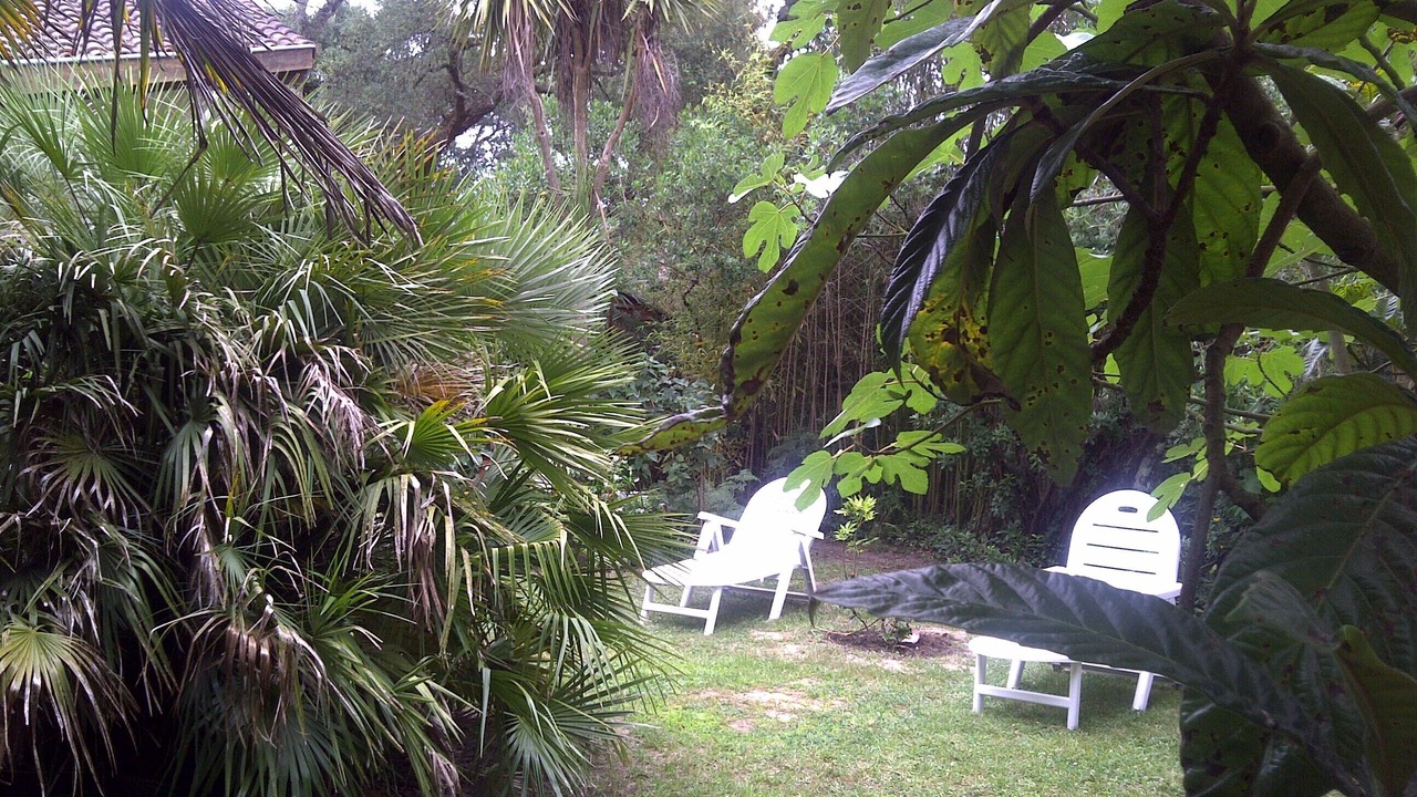 Photo of Outdoor in Labenne-Ocean