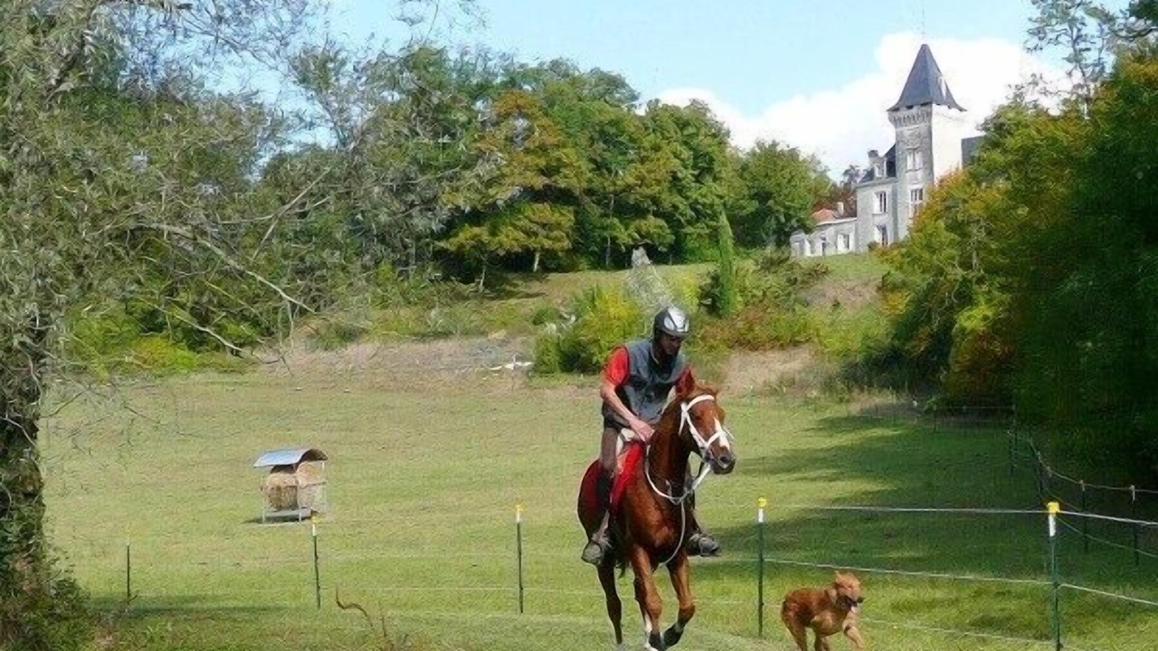 Photo of Others in Nouvelle-Aquitaine
