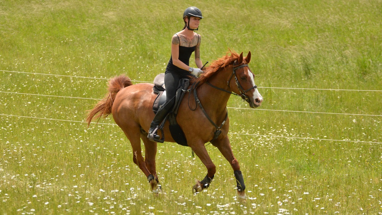 Photo of Others in Nouvelle-Aquitaine