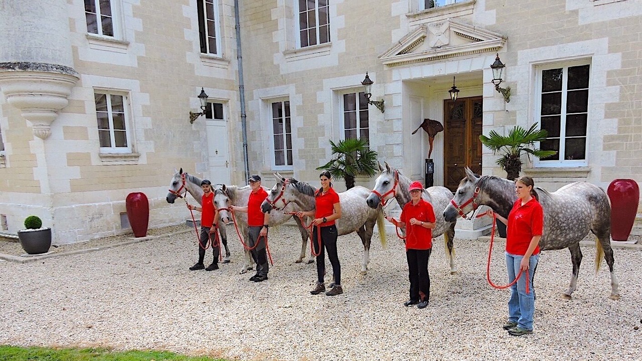 Photo of Others in Nouvelle-Aquitaine