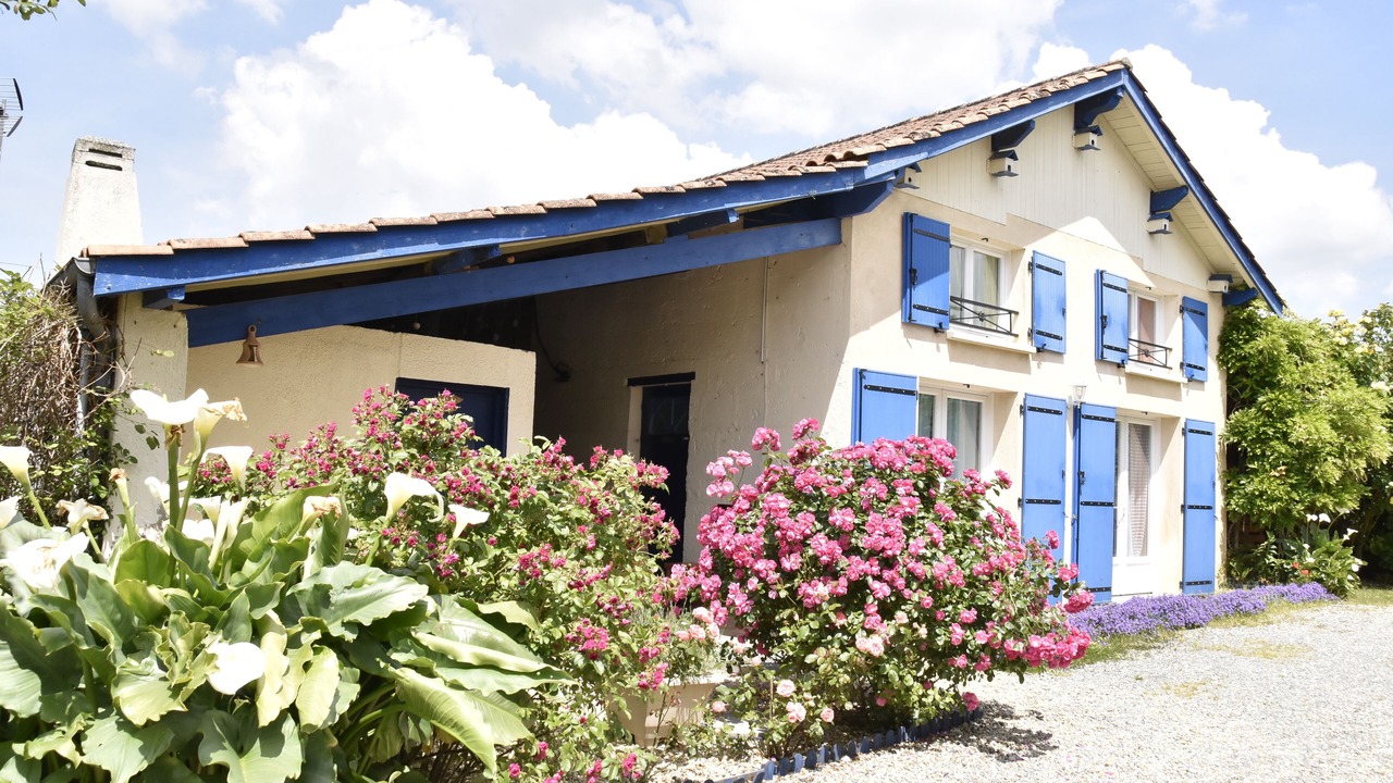 Photo of Outdoor in Saint-Trojan