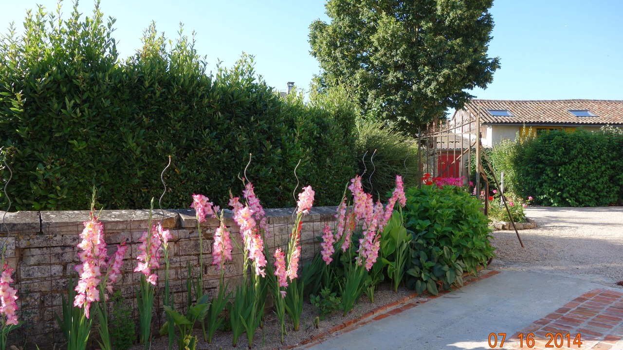 Photo of Outdoor in Villiers-en-Plaine
