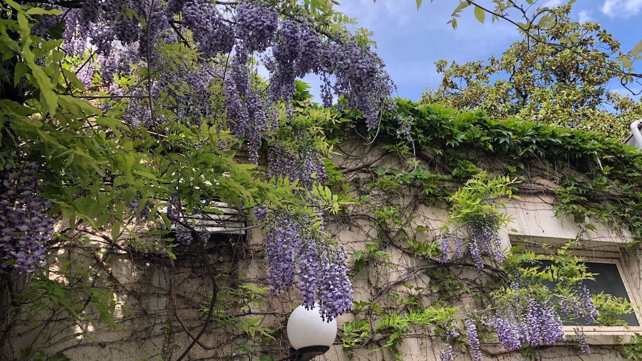 Photo of Outdoor in Perigueux
