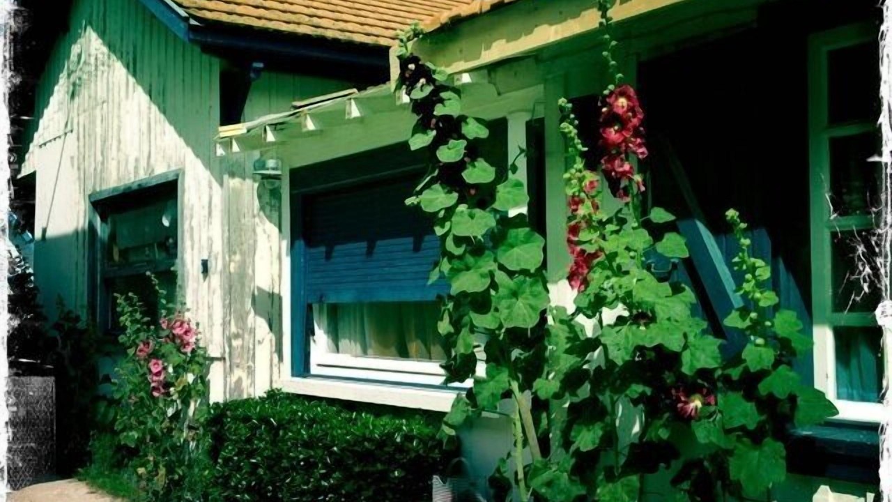 Photo of Outdoor in Claouey