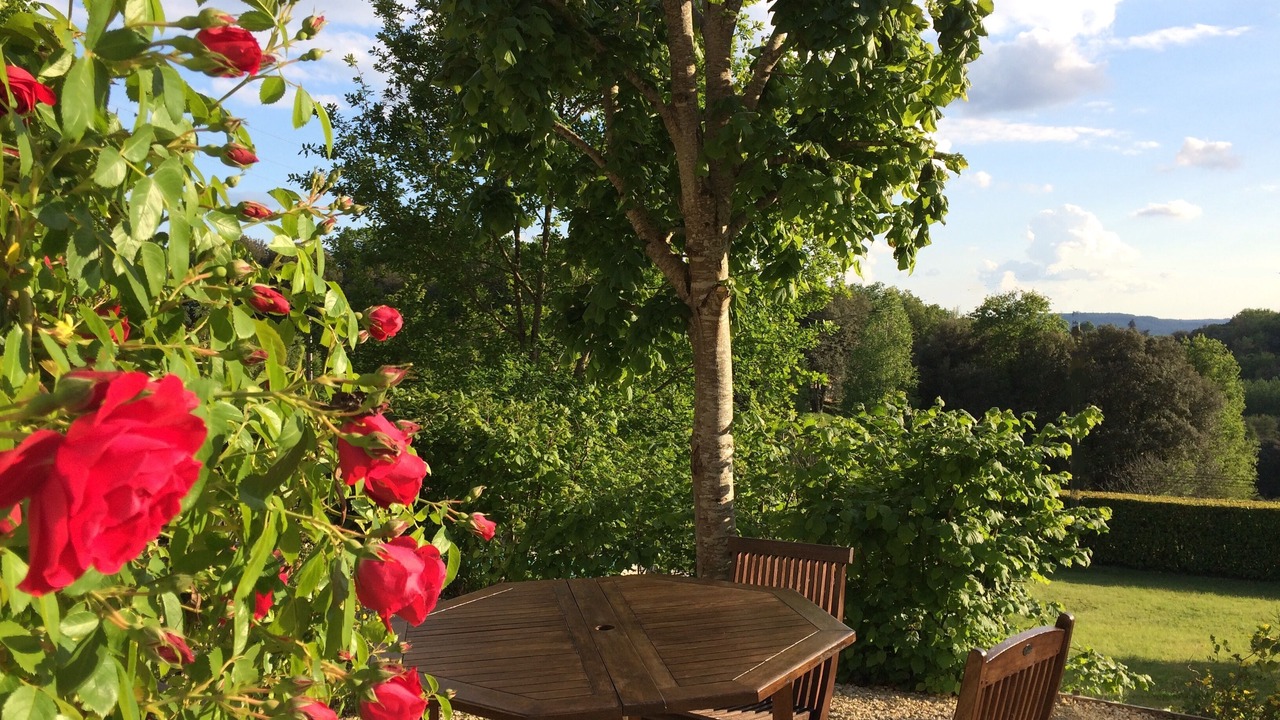Photo of Outdoor in Calviac-en-Perigord