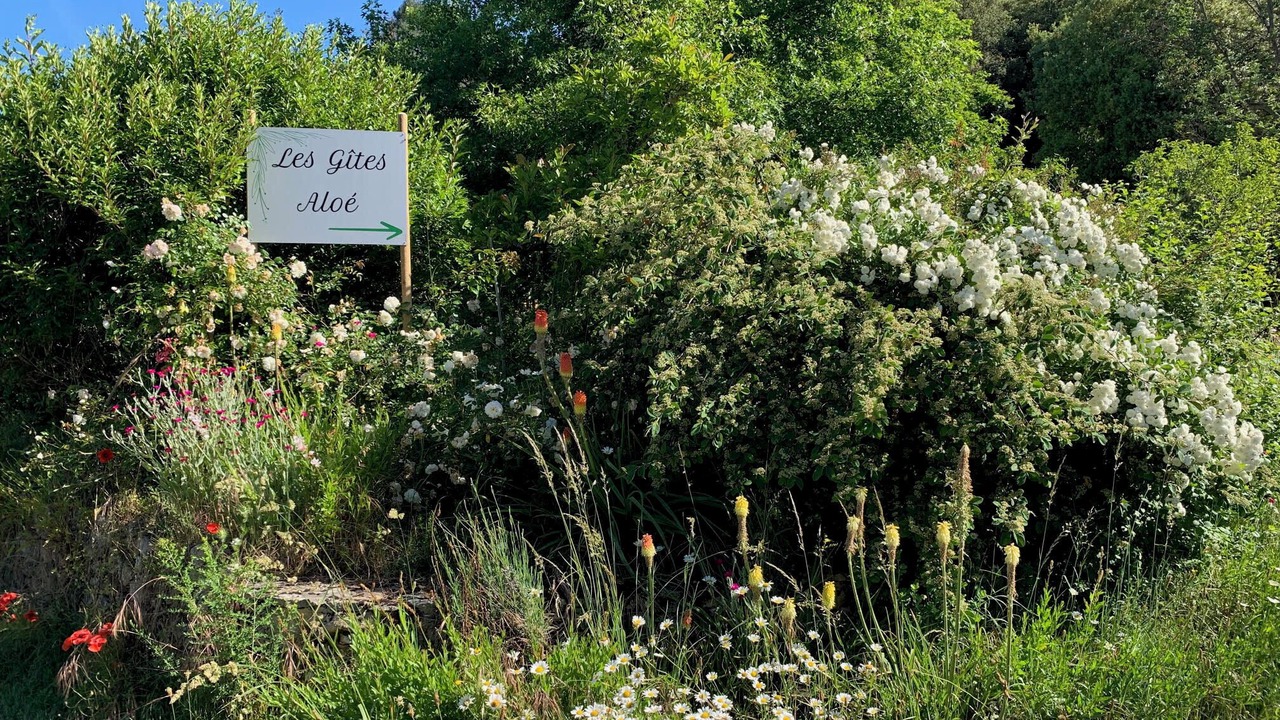 Photo of Outdoor in Calviac-en-Perigord