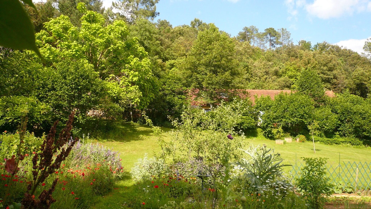 Photo of Outdoor in Calviac-en-Perigord