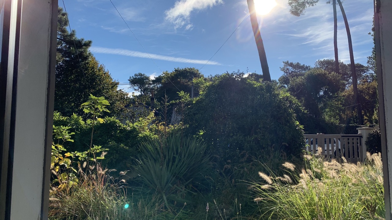 Photo of Outdoor in Arcachon