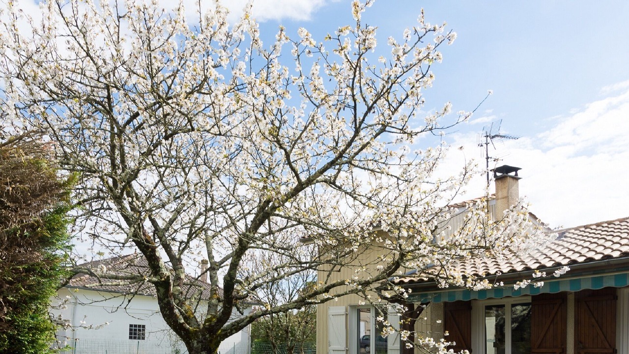 Photo of Outdoor in Vayres