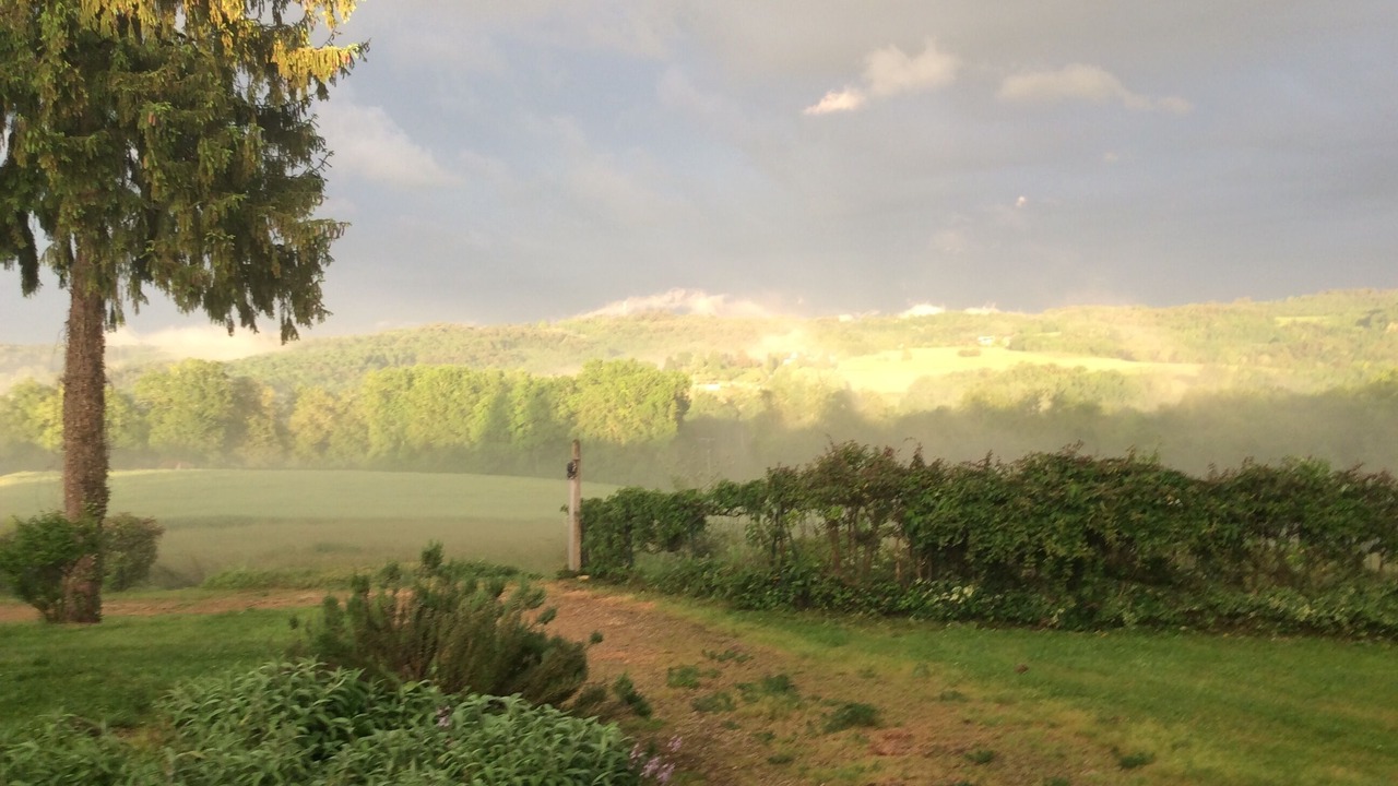Photo of Outdoor in Saint-Genies