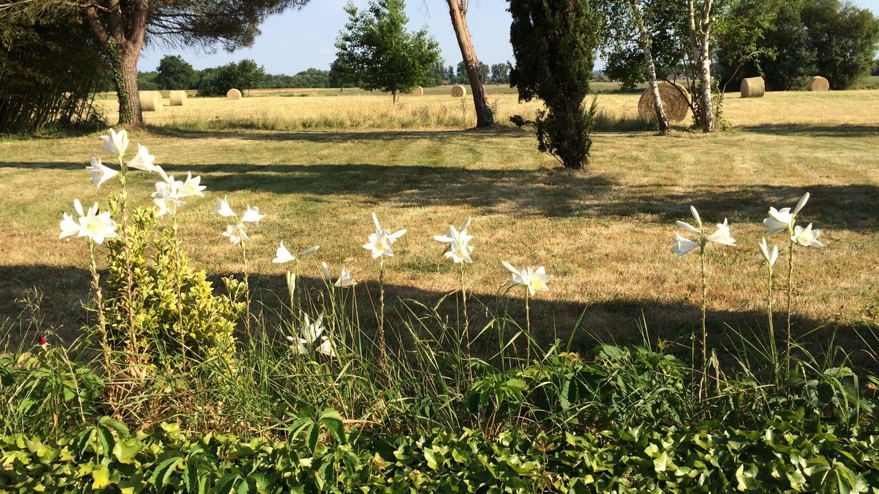 Photo of Outdoor in Saint-Pierre-d'Eyraud