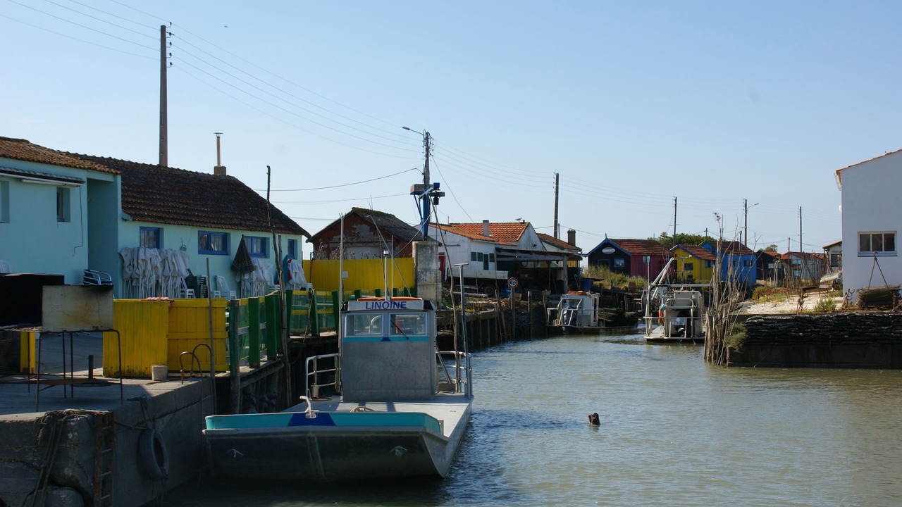 Photo of Others in Saint-Pierre-d'Oleron
