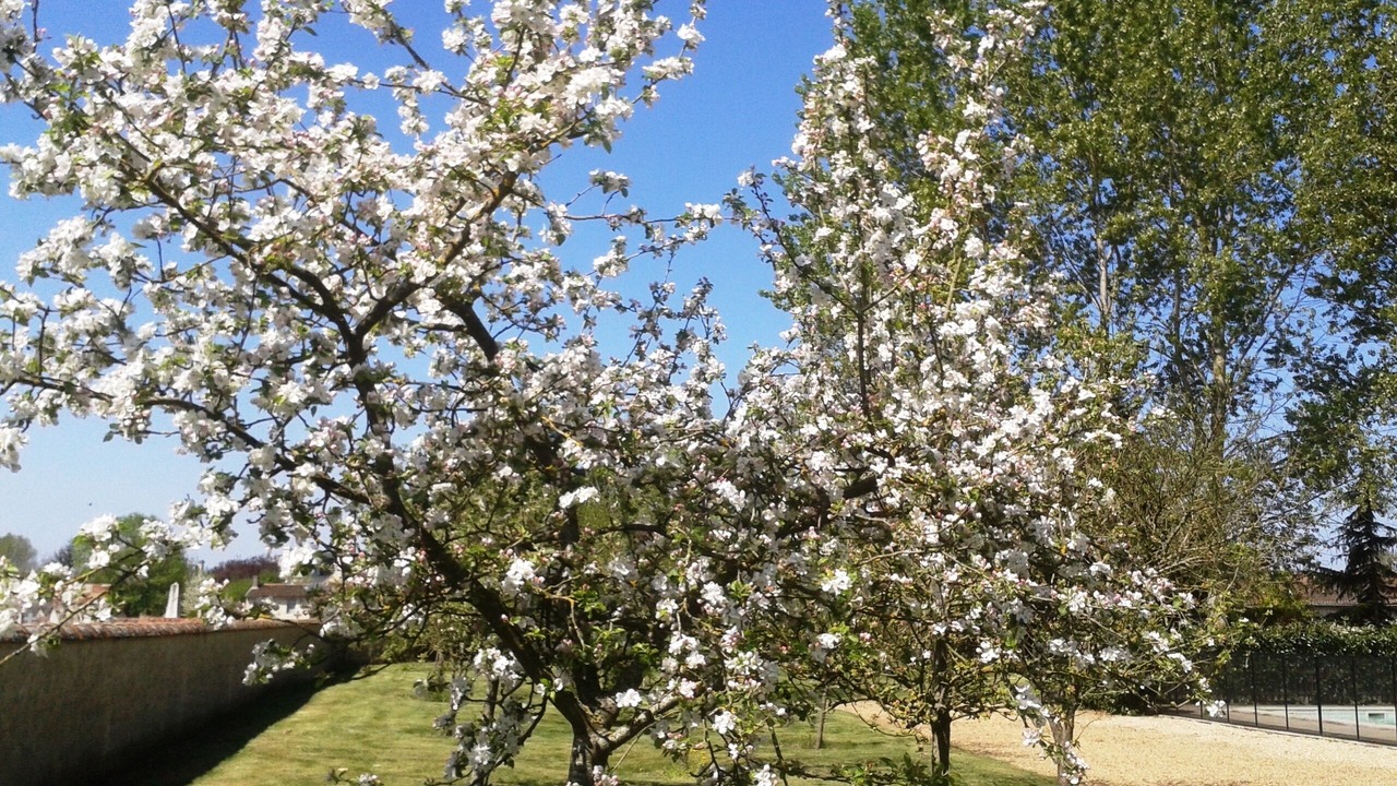 Photo of Outdoor in Bournand