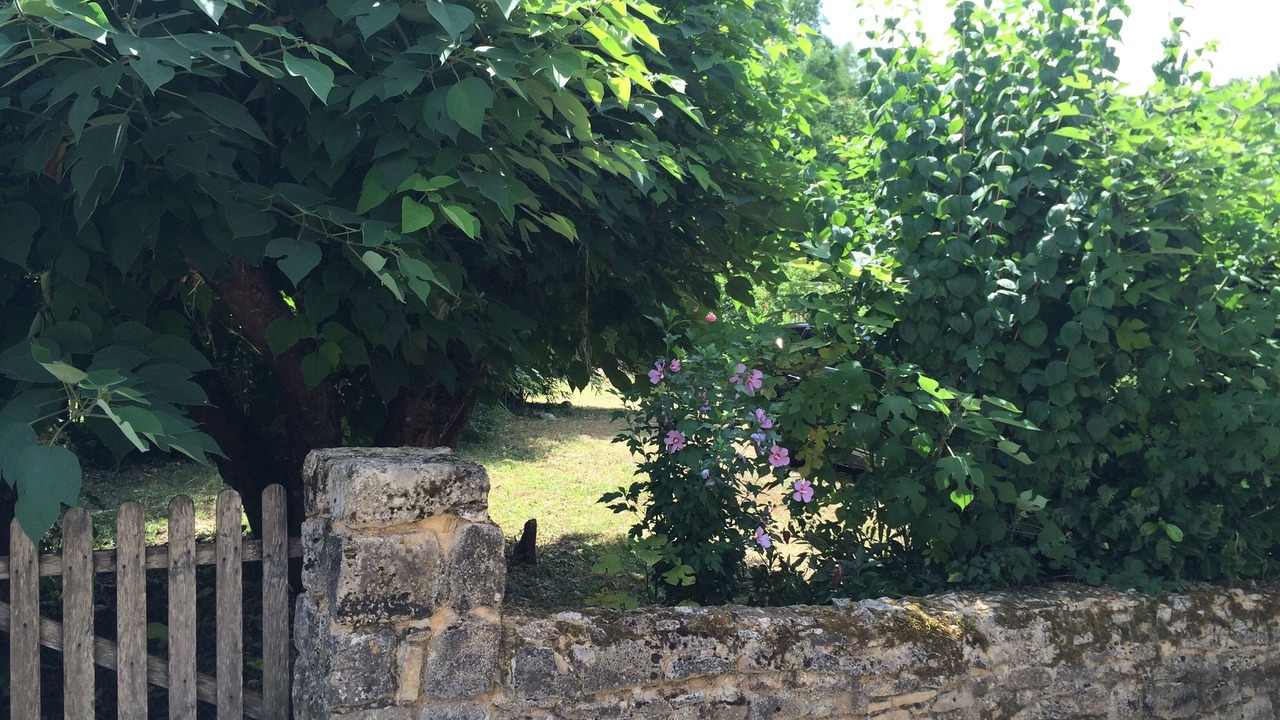 Photo of Outdoor in Berbiguieres