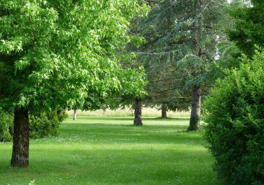 Photo of Outdoor in Tremolat