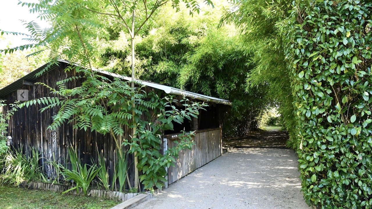 Photo of Outdoor in Ychoux
