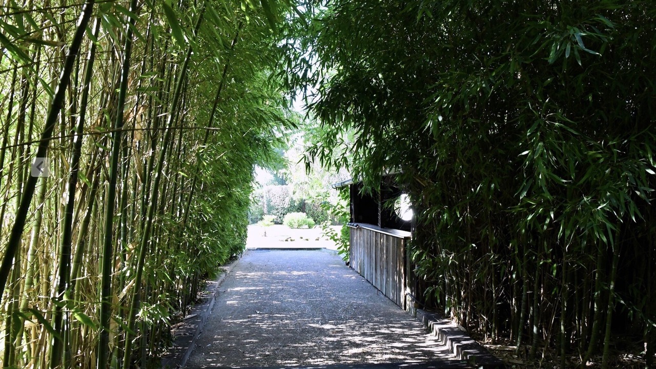 Photo of Outdoor in Ychoux
