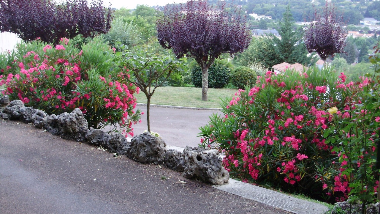 Photo of Outdoor in Sarlat-la-Caneda