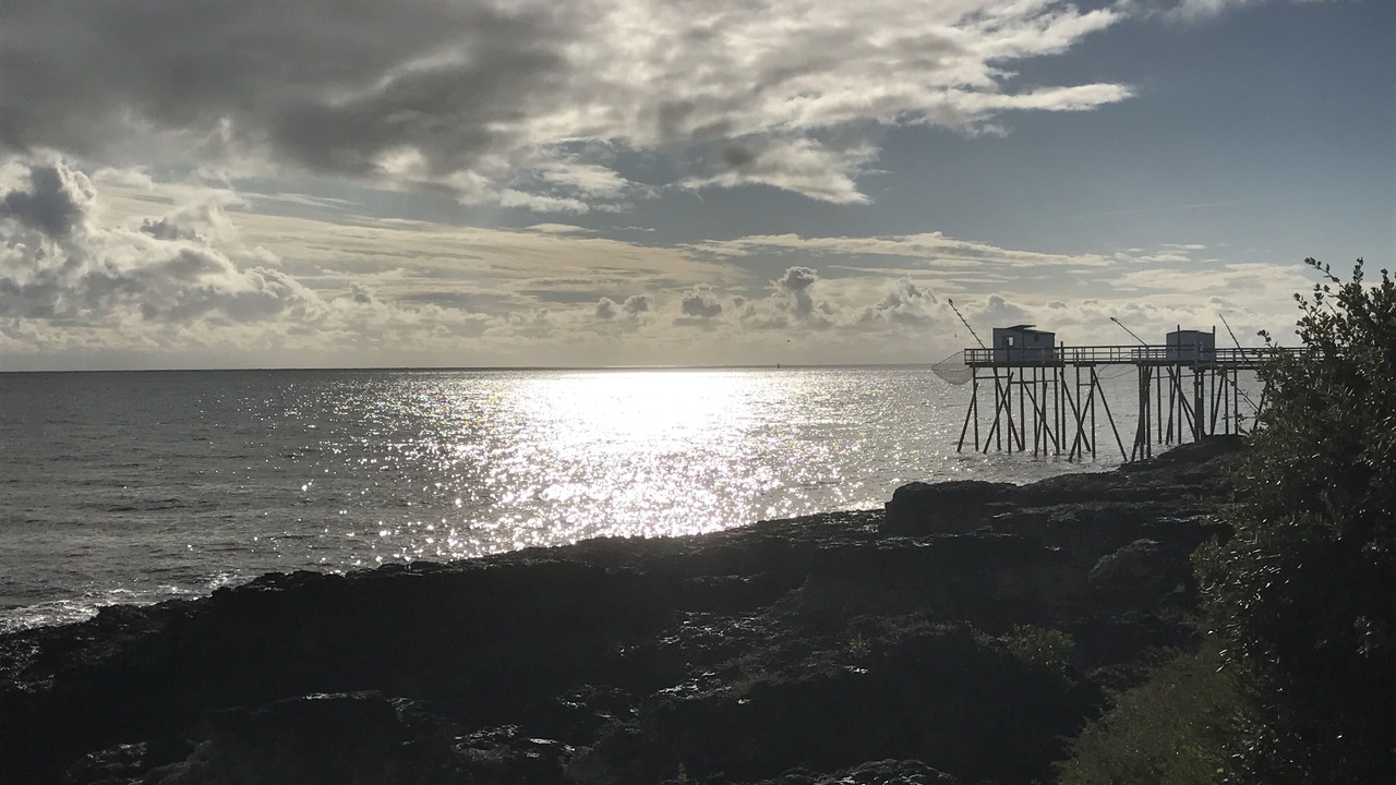 Photo of Others in Saint-Palais-sur-Mer