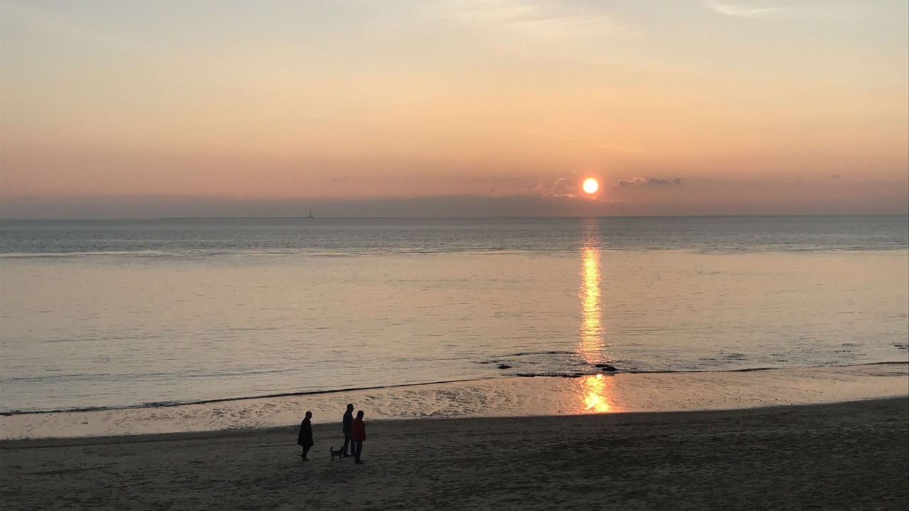 Photo of Others in Saint-Palais-sur-Mer