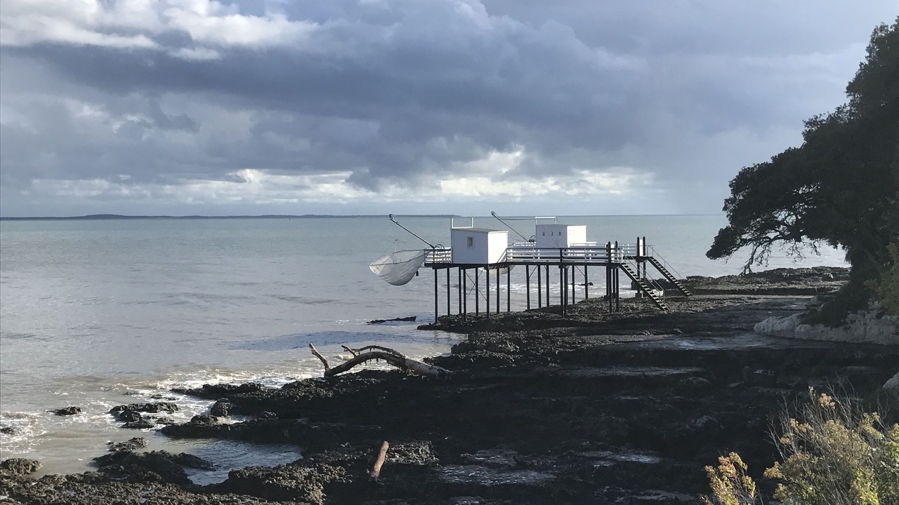 Photo of Others in Saint-Palais-sur-Mer