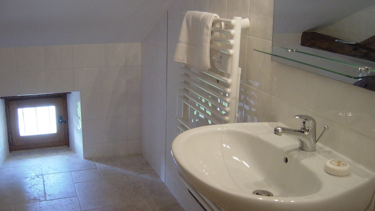 Photo of Bathroom in Saint-Martin-des-Combes