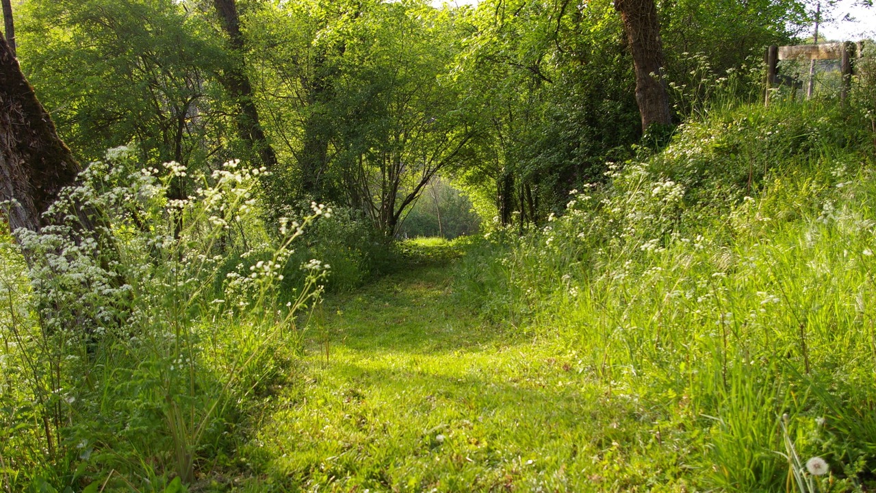 Photo of Outdoor in Saint-Martin-des-Combes