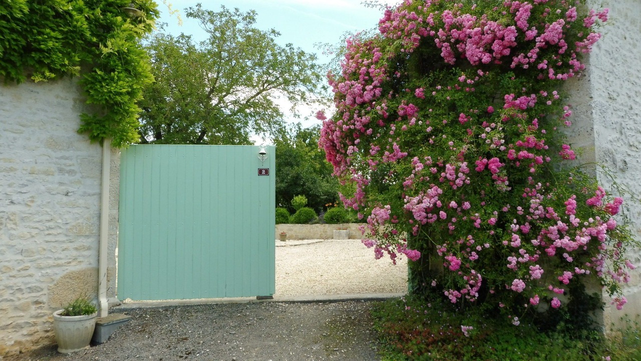Photo of Outdoor in Cellefrouin