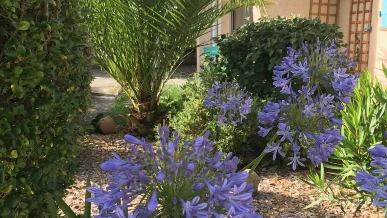 Photo of Outdoor in Montussan