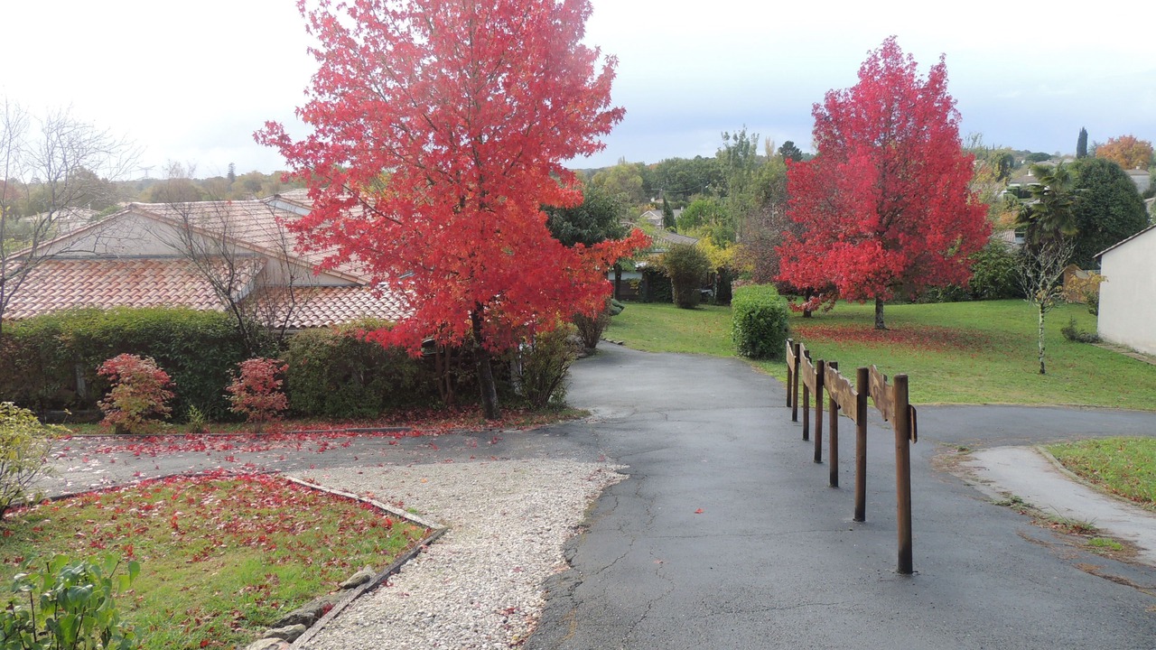 Photo of Outdoor in Montussan