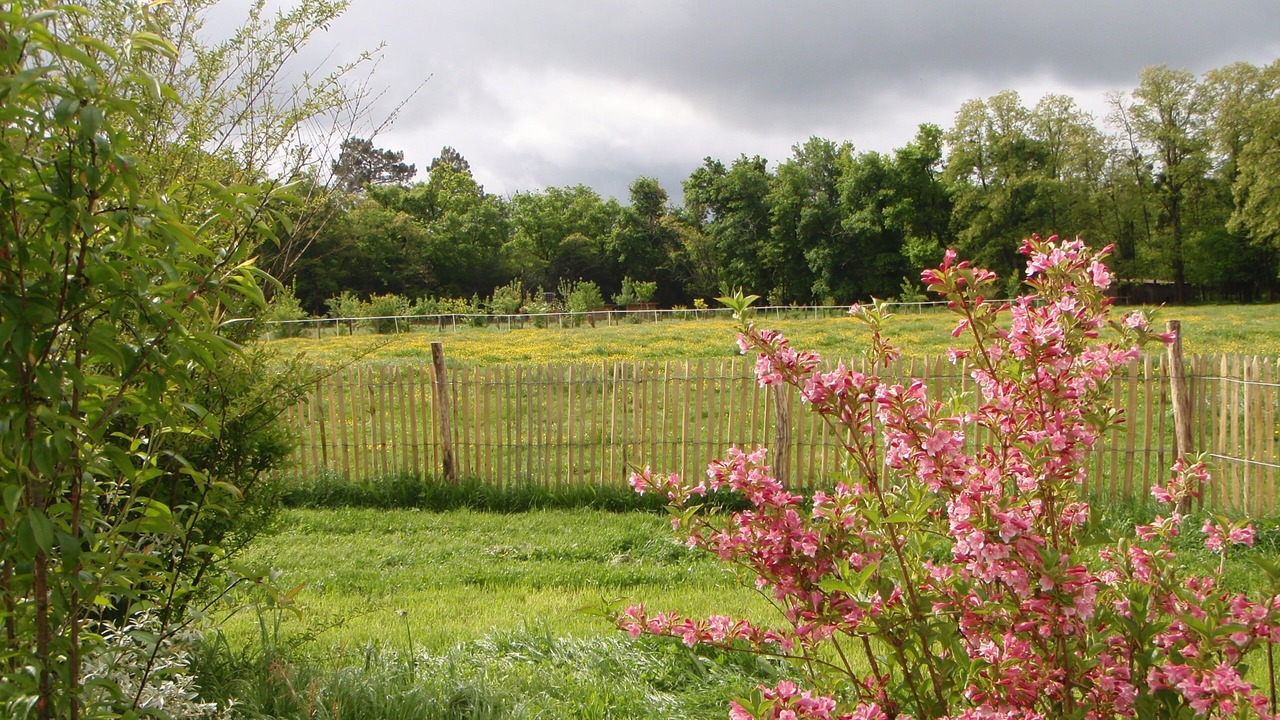 Photo of Outdoor in Saucats