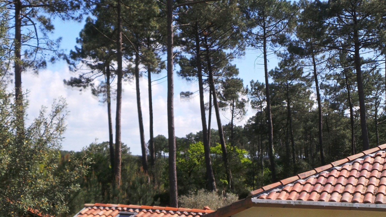 Photo of Patio Balcony in Messanges