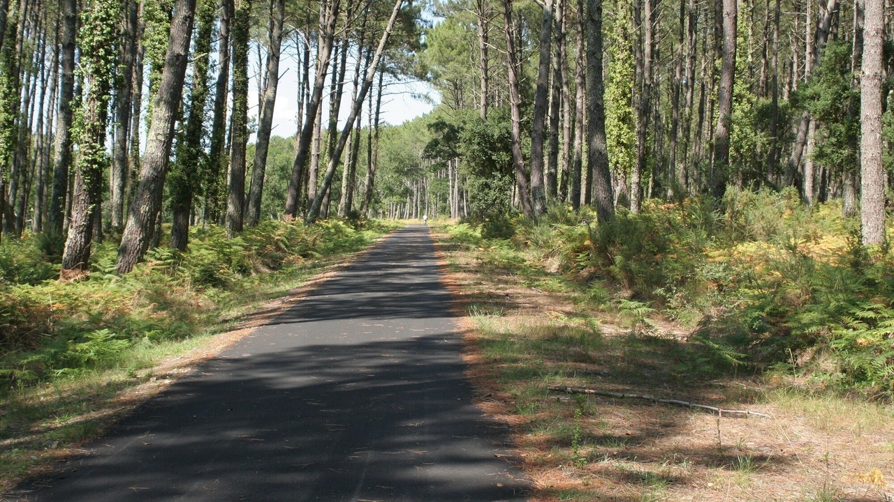 Photo of Outdoor in Messanges