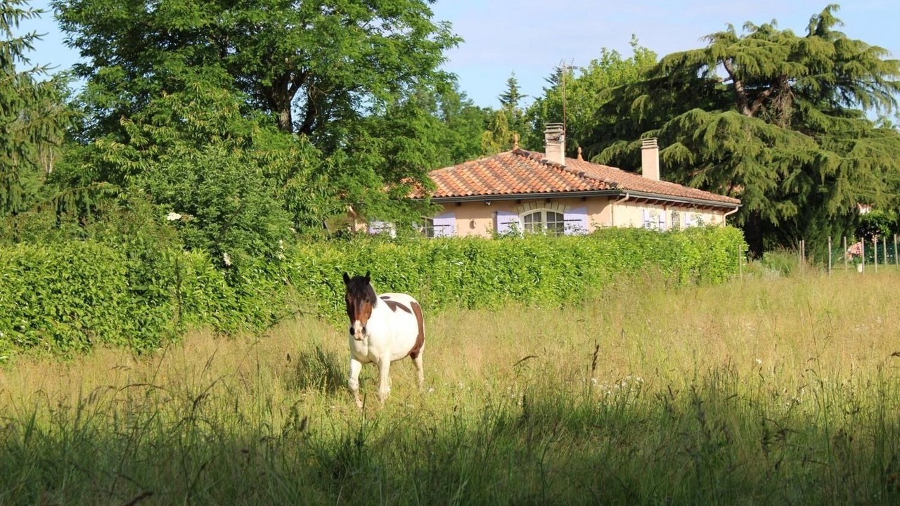 Photo of Outdoor in Vindelle