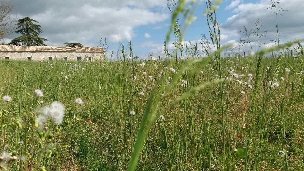 Photo of Outdoor in Boisse