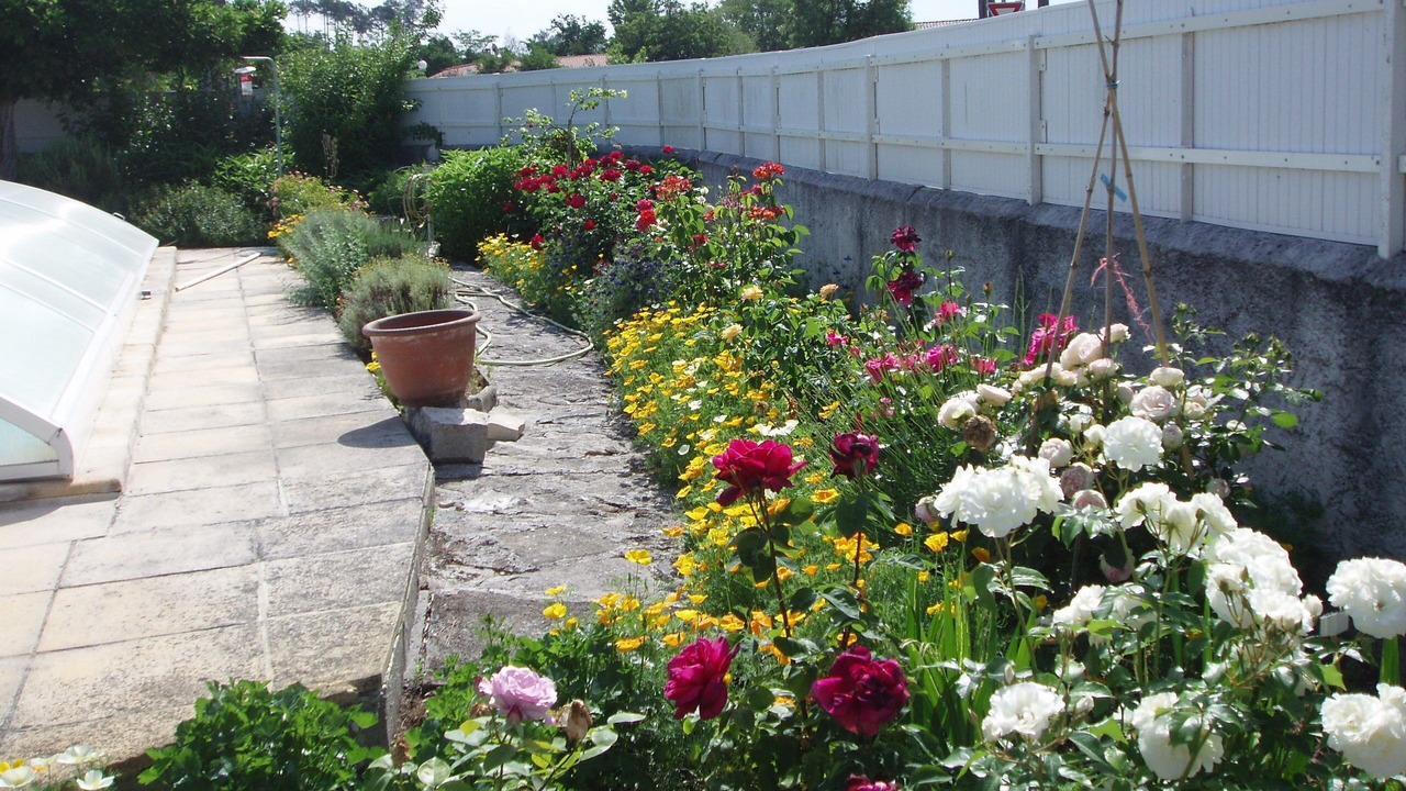 Photo of Outdoor in Sanguinet