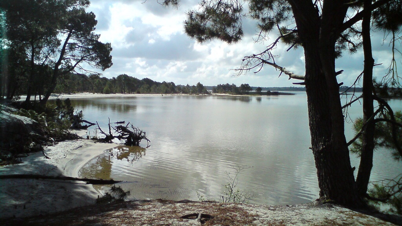 Photo of Others in Sanguinet