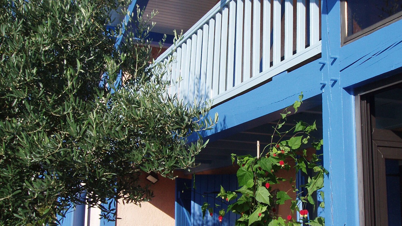 Photo of Outdoor in Sanguinet