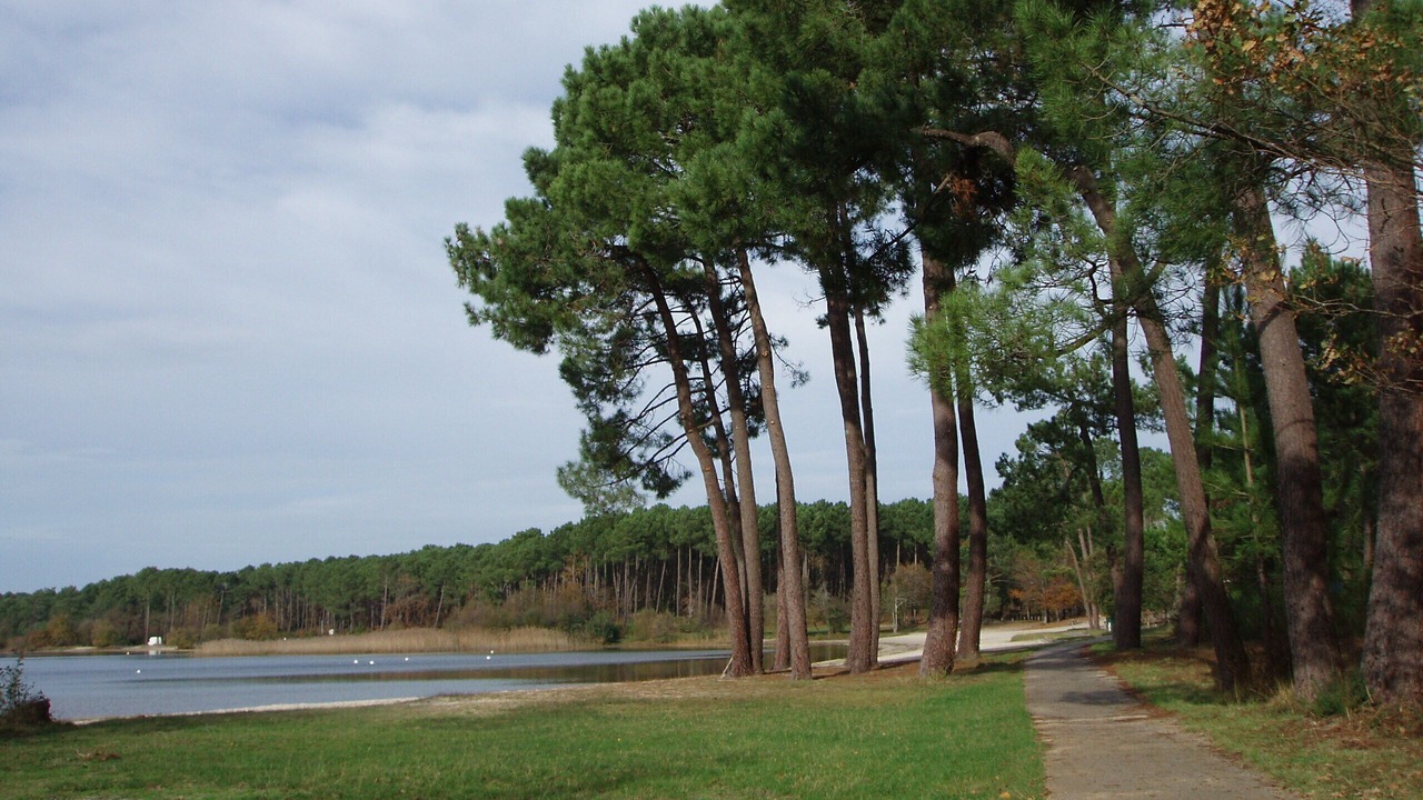 Photo of Outdoor in Sanguinet
