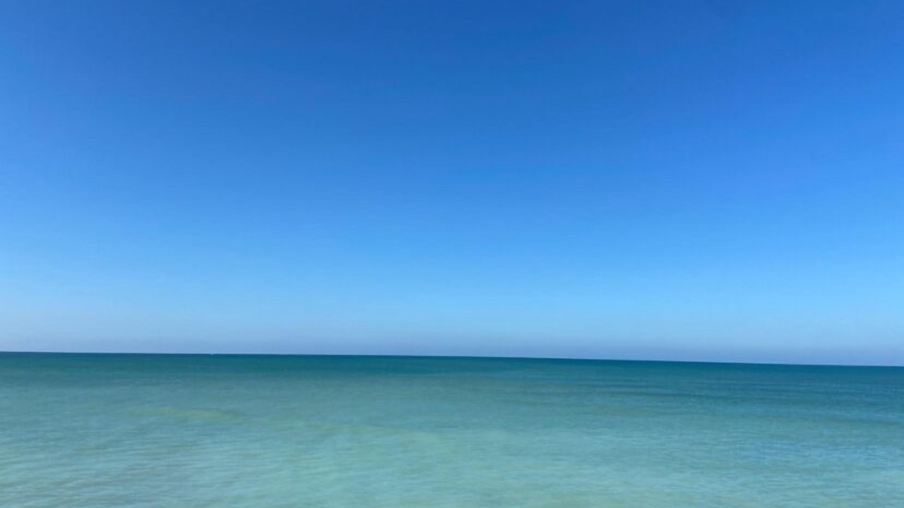 Photo of Others in Saint-Clement-des-Baleines