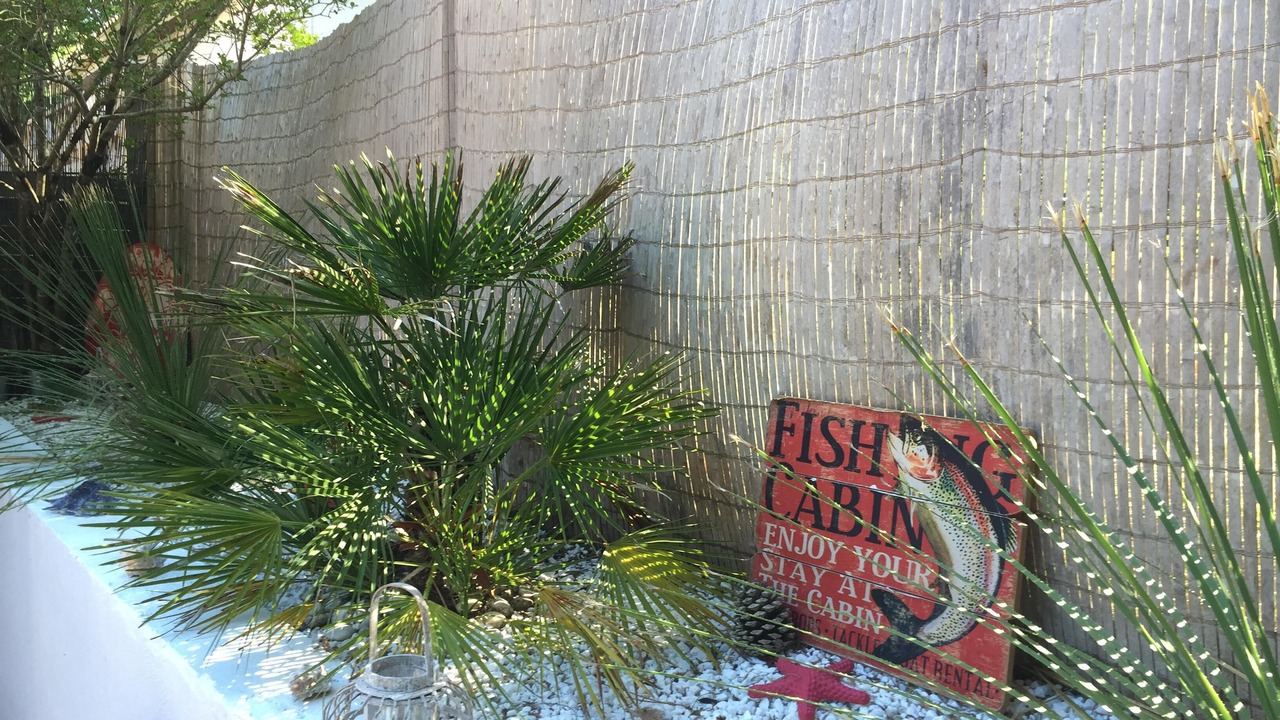 Photo of Outdoor in Carcans